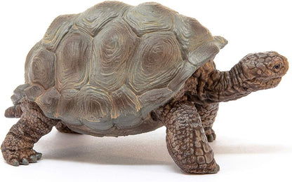 SCHLEICH Wild Life 14824 Realistic Exotic Galapagos Giant Tortoise Figurine - Wild Animal Giant Tortoise Toy for Wildlife Play and Imagination - Animal Toys Gift for Boys, Girls, Kids Ages 3+