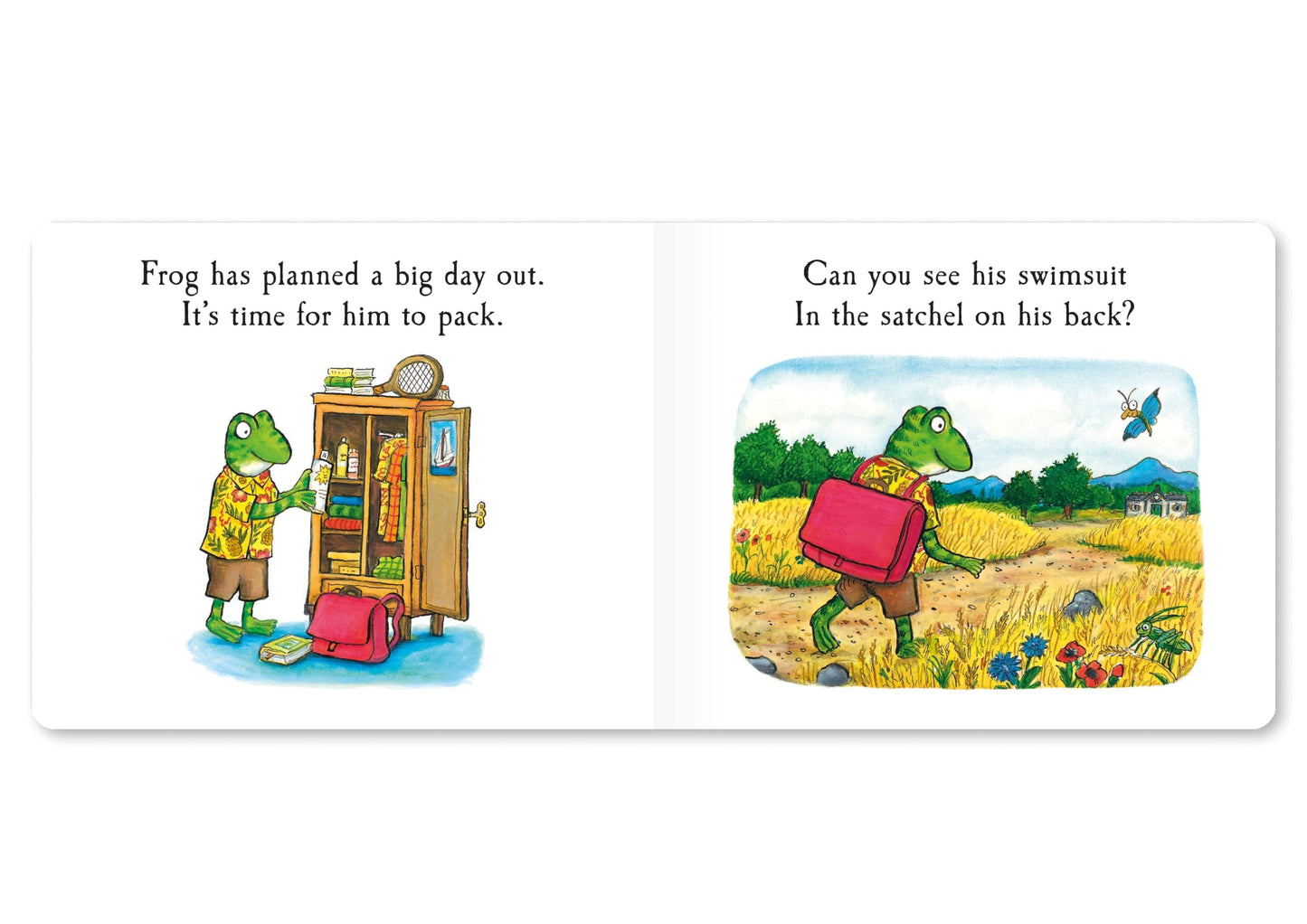 Frog's Day Out: A Lift-the-flap Story (Tales From Acorn Wood, 10)