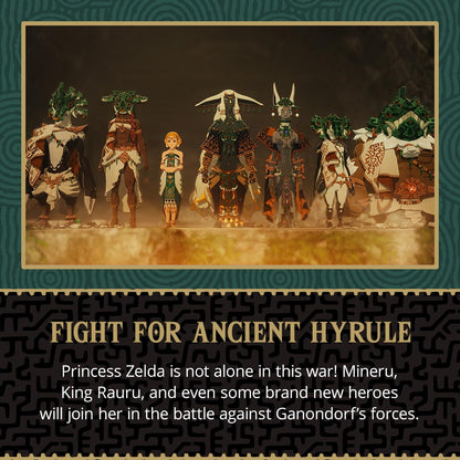 Nintendo Hyrule Warriors: Age of Imprisonment game cover art featuring characters from the action-adventure game.