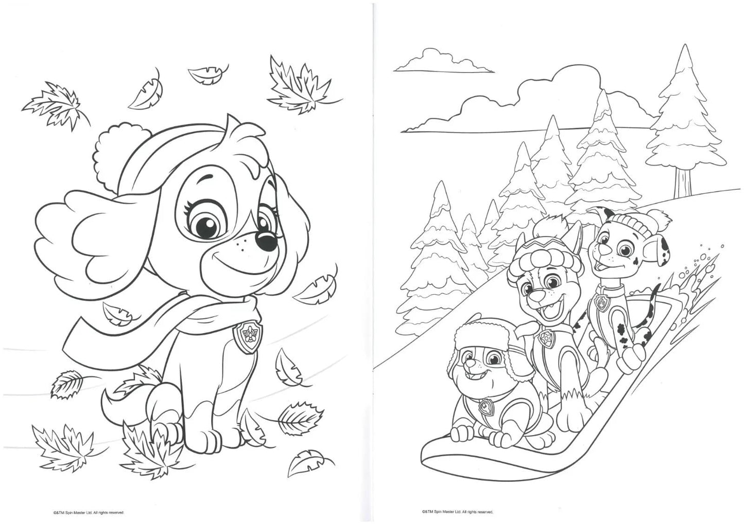 ALLIGATOR - Paw Patrol Colouring Book, Colouring Books for Children, Paw Patrol Book, Paw Patrol Colouring Book, Colouring Books, Kids Colouring Books, Colouring Book