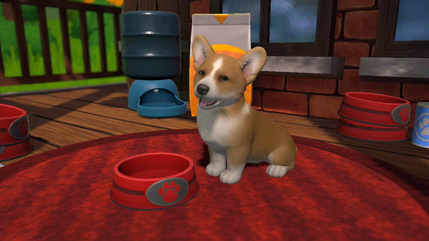 Fireshine Games Little Friends: Puppy Island game box with adorable puppy illustrations and colorful island background.