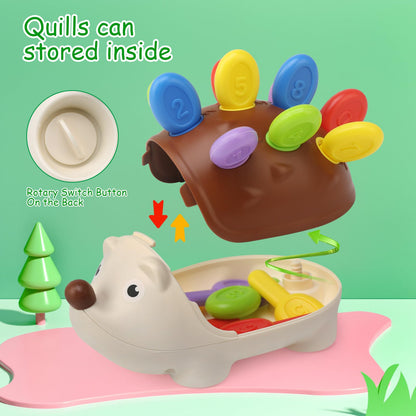 BelleStyle Baby Sensory Montessori Toys for 18 Months, Hedgehog Fine Motor Skills Toys Sorting Game Development Activity Toys Educational Learning Travel Toys for Toddlers Boys Girls 2 3 Years Old