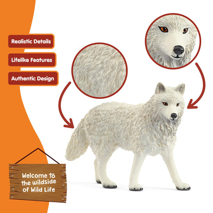 SCHLEICH Wild Life - 3" Arctic Wolf Toy Figurine. Realistic Hand-Painted Hard Animal Toys for Boys and Girls. Durable Educational Wolf Figure for Imaginative Play. Kids and Toddlers Ages 3+ 14880