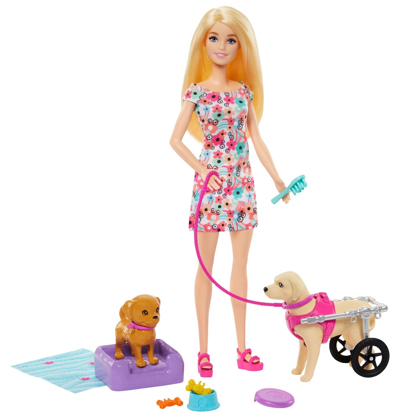 Barbie doll with two toy dogs, one in a wheelchair, and pet accessories in a colorful 10+ piece set.