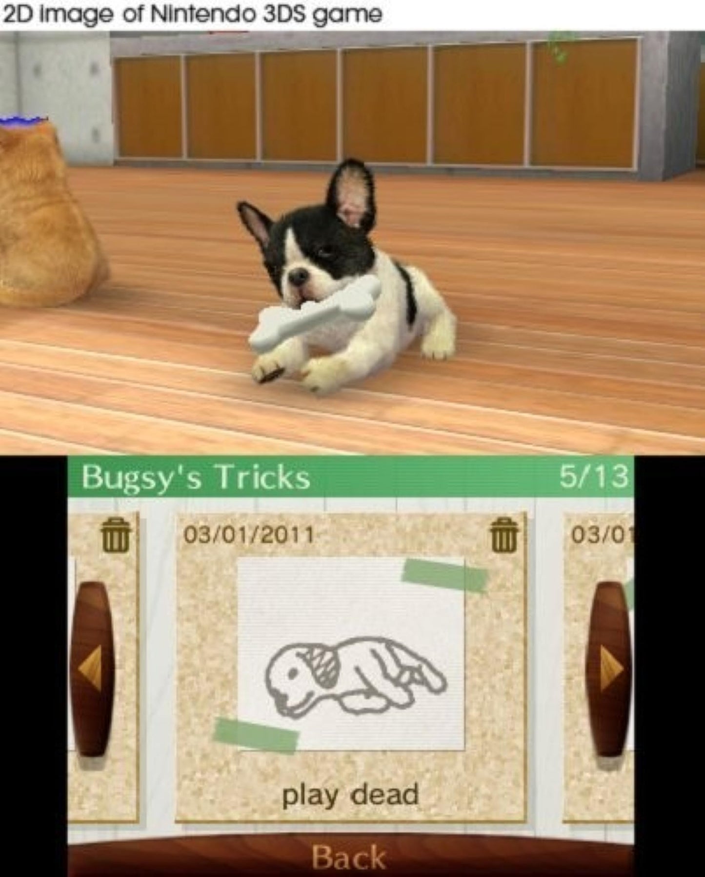 Nintendo Selects Nintendogs + Cats (Toy Poodle + New Friends)