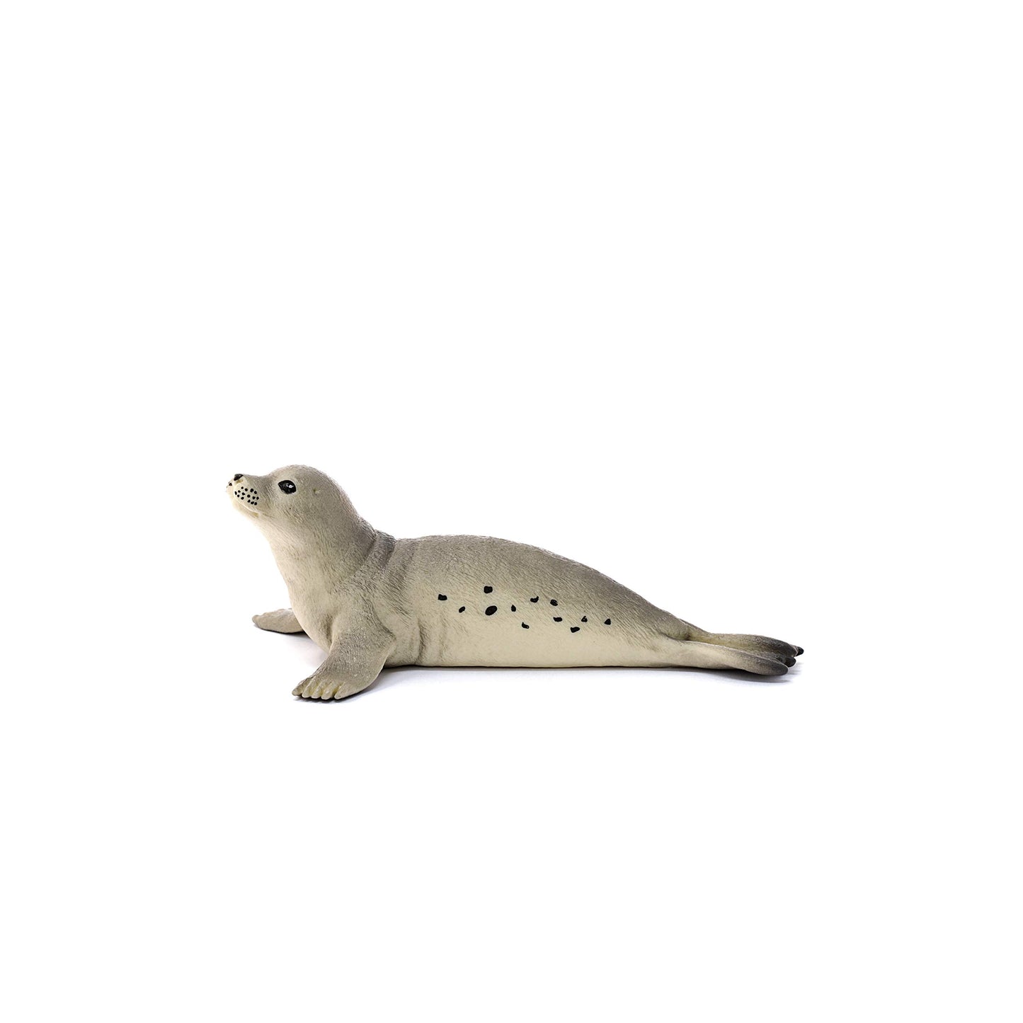 SCHLEICH 14801 Seal Wild Life Toy Figurine for children aged 3-8 Years