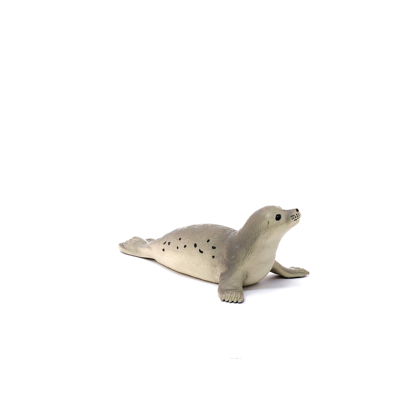 SCHLEICH 14801 Seal Wild Life Toy Figurine for children aged 3-8 Years