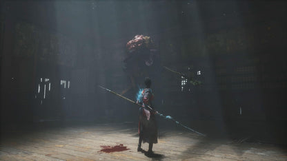 Fallen Feathers Day One Edition PS5 game by 505 Games, featuring cover art with feathers and dark background.