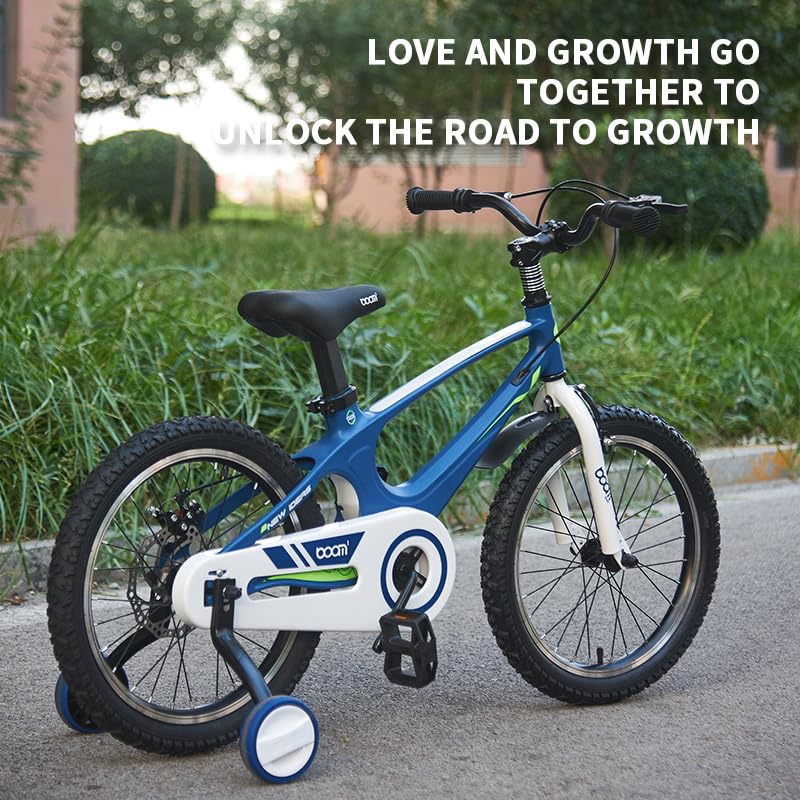 LSBIKE Kids Bike 14 16 18 Inch Magnesium Alloy Boys Girls Children Bicycle with Stabilizers Ages 2-9 Years Blue Pink Bicycle Double Brakes Training Wheel Freestyle Children Bike (18 inch Blue)
