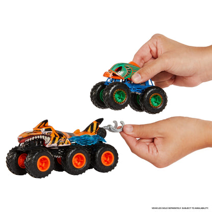 Hot Wheels Monster Trucks Big Rigs (Assorted Styles, One Random Item), 1:64 Scale Toy Truck with 6 Wheels, Haul or Tow Other Vehicles, HWN86
