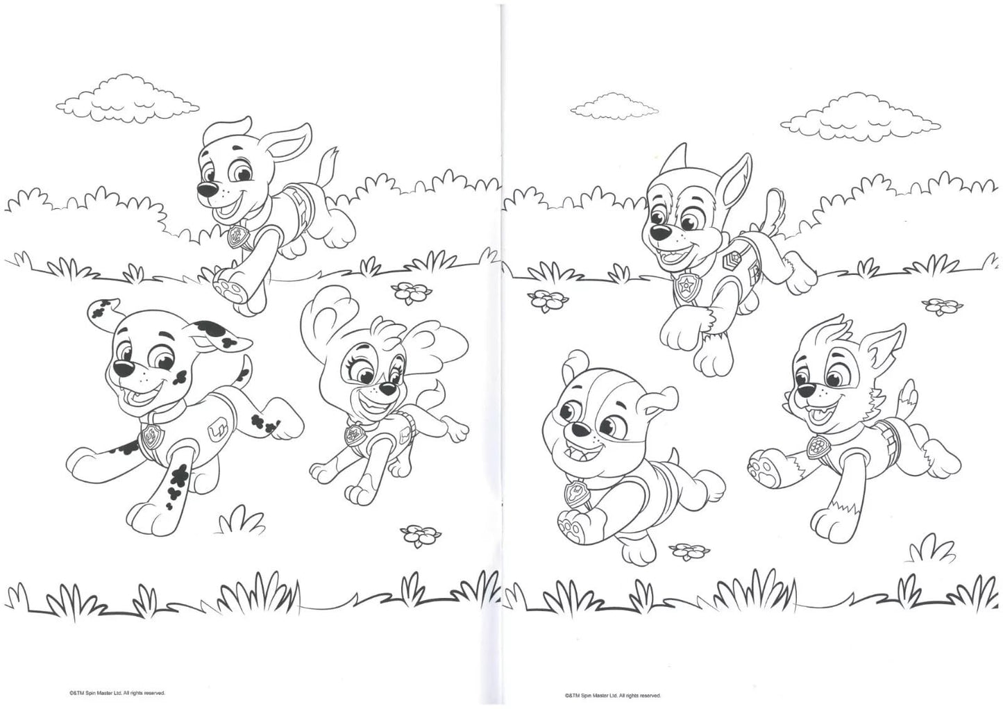 ALLIGATOR - Paw Patrol Colouring Book, Colouring Books for Children, Paw Patrol Book, Paw Patrol Colouring Book, Colouring Books, Kids Colouring Books, Colouring Book