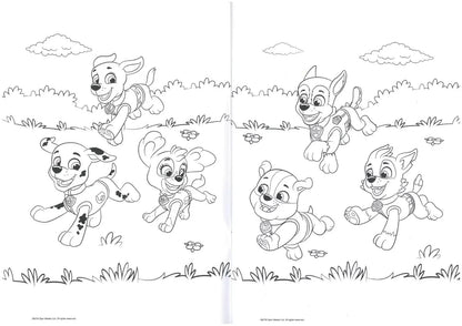 ALLIGATOR - Paw Patrol Colouring Book, Colouring Books for Children, Paw Patrol Book, Paw Patrol Colouring Book, Colouring Books, Kids Colouring Books, Colouring Book