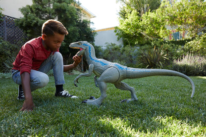 Jurassic World Large Dinosaur Toy, Super Colossal Velociraptor Blue Action Figure 3.5 Feet Long with Eating Feature, Gift for Kids, Única