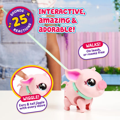 Little Live Pets - My Pet Pig | Soft and Jiggly Interactive Toy Pig That Walks, Dances and Nuzzles. 20+ Sounds & Reactions. Batteries Included. For Kids Ages 4+.