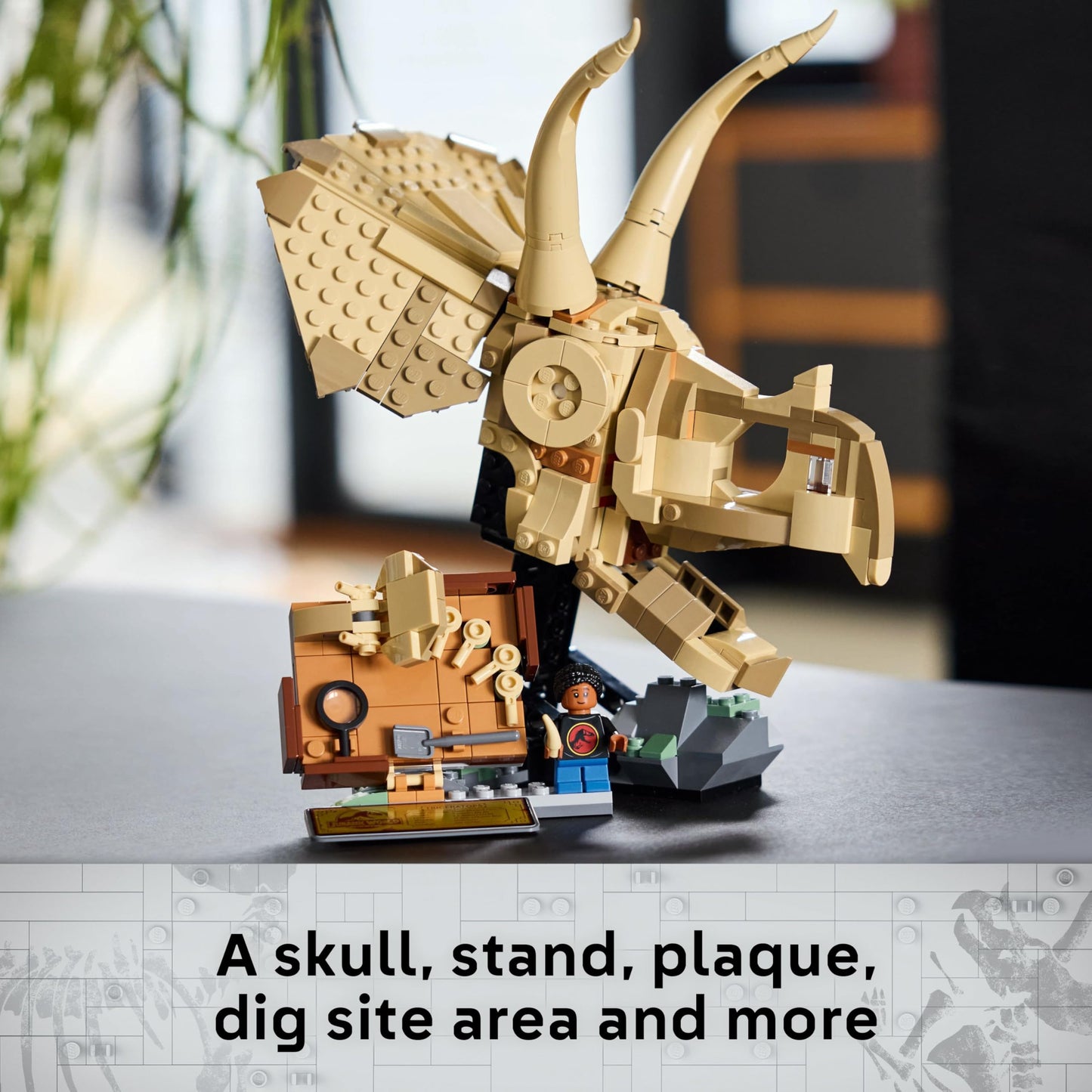 LEGO Jurassic World Dinosaur Fossils: Triceratops Skull Model, Dinosaur Toy for 9+ Year Old Boys & Girls, with Opening Jaw & Display Stand, Birthday Gift Idea 76969