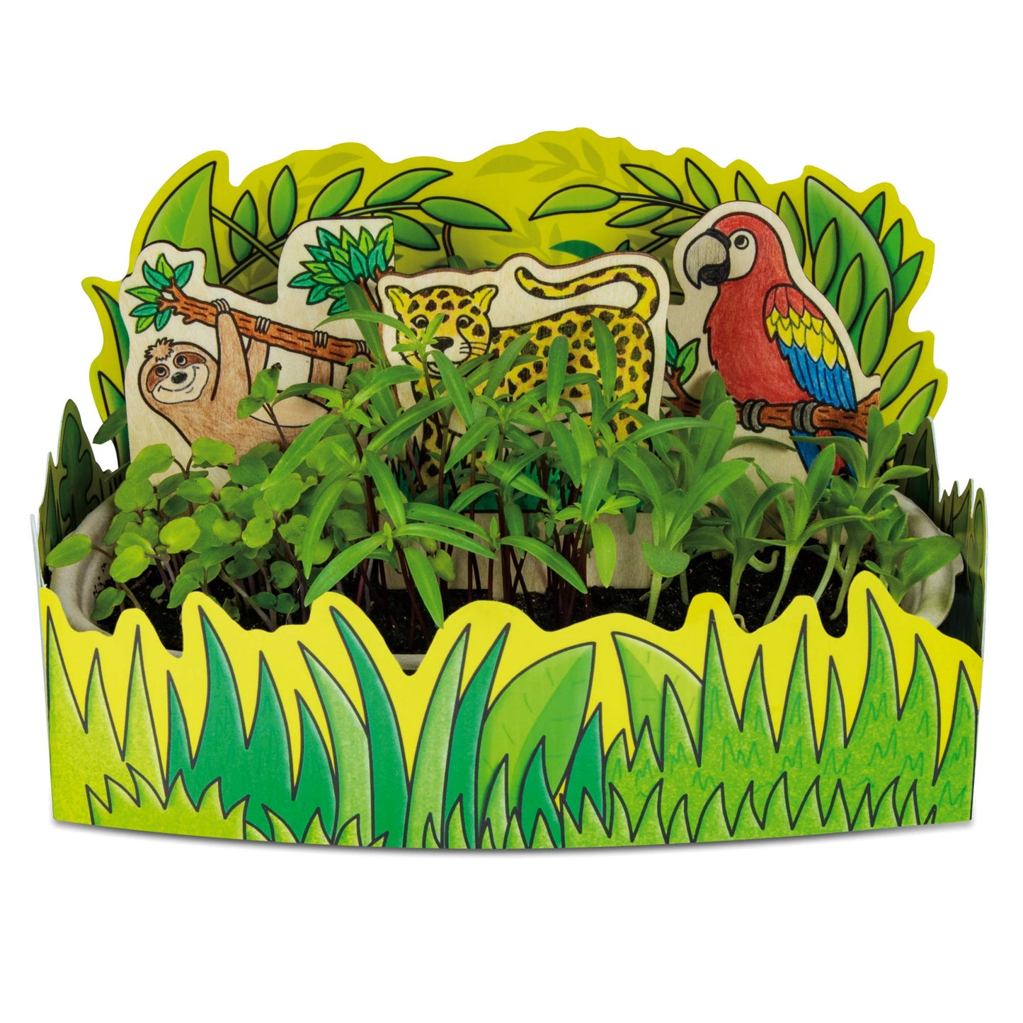 Galt Nature Lab science and craft kit for kids showing plants, rainforest scene, and scavenger hunt tools for STEM learning.