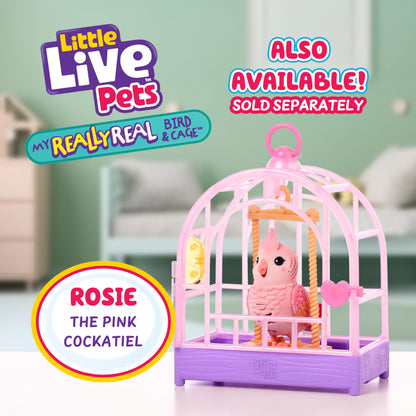 Little Live Pets My Really Real Bird & Cage - Indie, Interactive, Realistic Pet Bird, 20+ Sounds & Reactions (25cm/9,8in Cage, 10,9cm/4,3in Bird), Records & Repeats or Whistles Back, Carry & Display