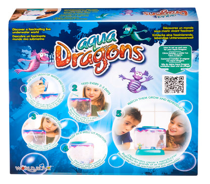 Aqua Dragons Underwater World aquarium with aquatic plants and tiny dragon figurines inside, showcasing the miniature aquatic habitat.