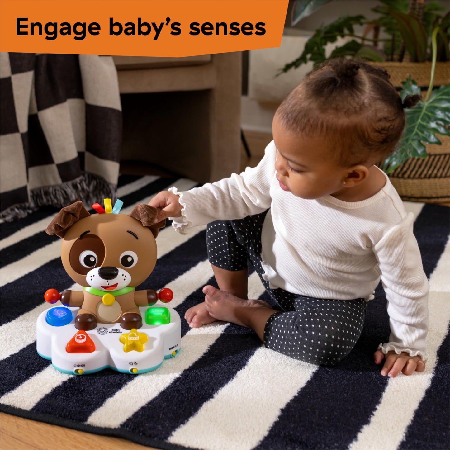 Baby Einstein Drum & Learn Dean musical toy with colorful buttons for multisensory learning, suitable for babies 6 months and up.