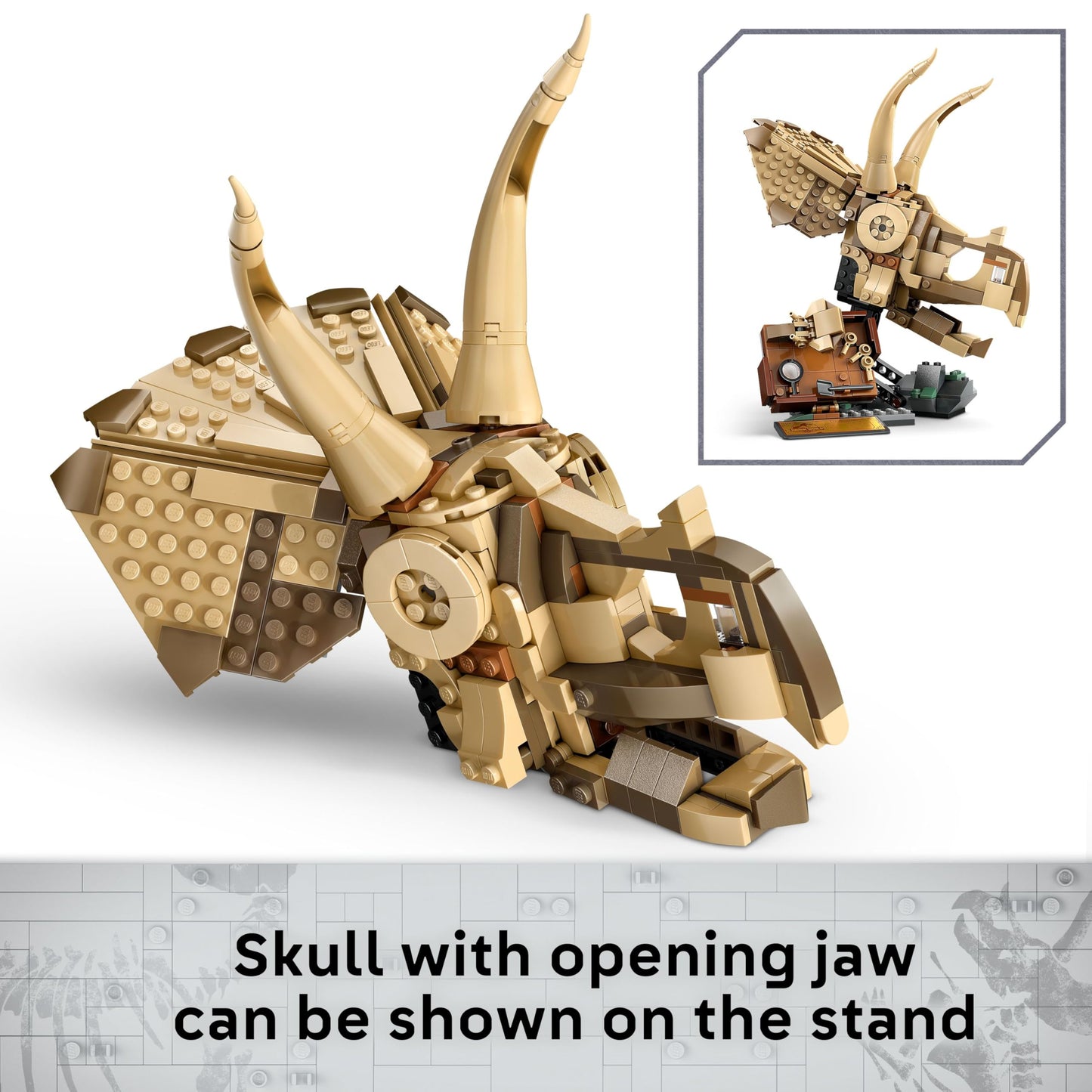 LEGO Jurassic World Dinosaur Fossils: Triceratops Skull Model, Dinosaur Toy for 9+ Year Old Boys & Girls, with Opening Jaw & Display Stand, Birthday Gift Idea 76969