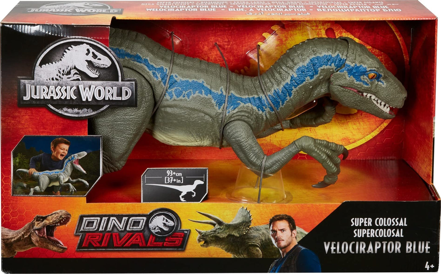 Jurassic World Large Dinosaur Toy, Super Colossal Velociraptor Blue Action Figure 3.5 Feet Long with Eating Feature, Gift for Kids, Única