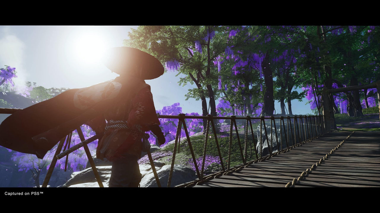 PlayStation Ghost of Tsushima Director's Cut for PS5, featuring game artwork with samurai and scenic Japanese landscape.