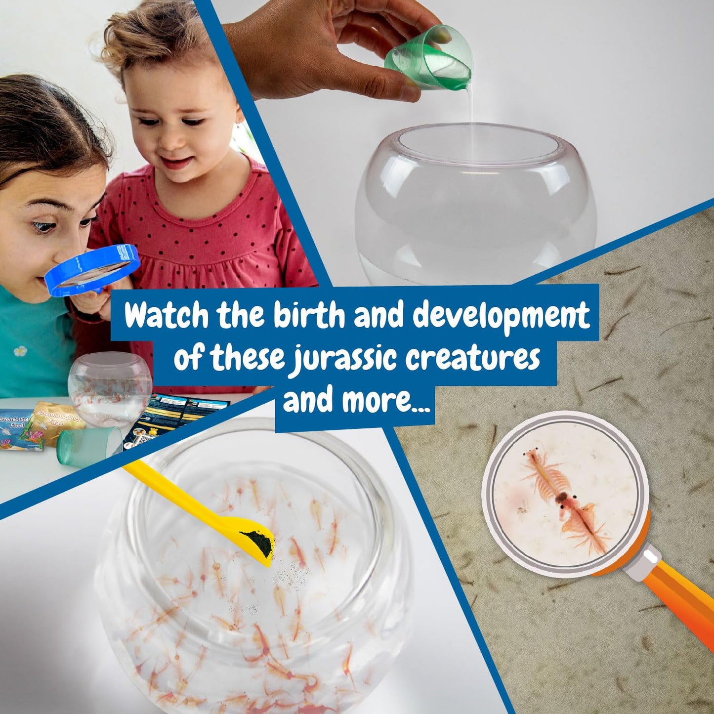 Science4you Jurassic Pets (Triops family) - Water Dragons Kit, Grow Your Own Aquatic Sea Creatures, Science Kits for Kids Age 6+, Toys and Games, Gifts for 6+ year old Boys and Girls