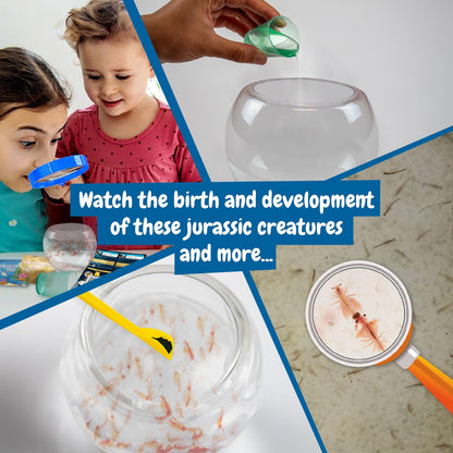 Science4you Jurassic Pets (Triops family) - Water Dragons Kit, Grow Your Own Aquatic Sea Creatures, Science Kits for Kids Age 6+, Toys and Games, Gifts for 6+ year old Boys and Girls