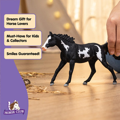 Schleich Horse Club - Paint Horse Gelding - 17cm Hand-Painted Collectable, Realistic Toy Horse Figurine for Girls and Boys. Durable Educational Figure for Fun Imaginative Play. Kids Toys Ages 5+ 14900