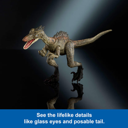 Mattel Jurassic World Hammond Collection Dinosaur Action Figure Toy Troodon Species, Premium Movie Design Glass Eyes & 14 Points Articulation, JDJ11