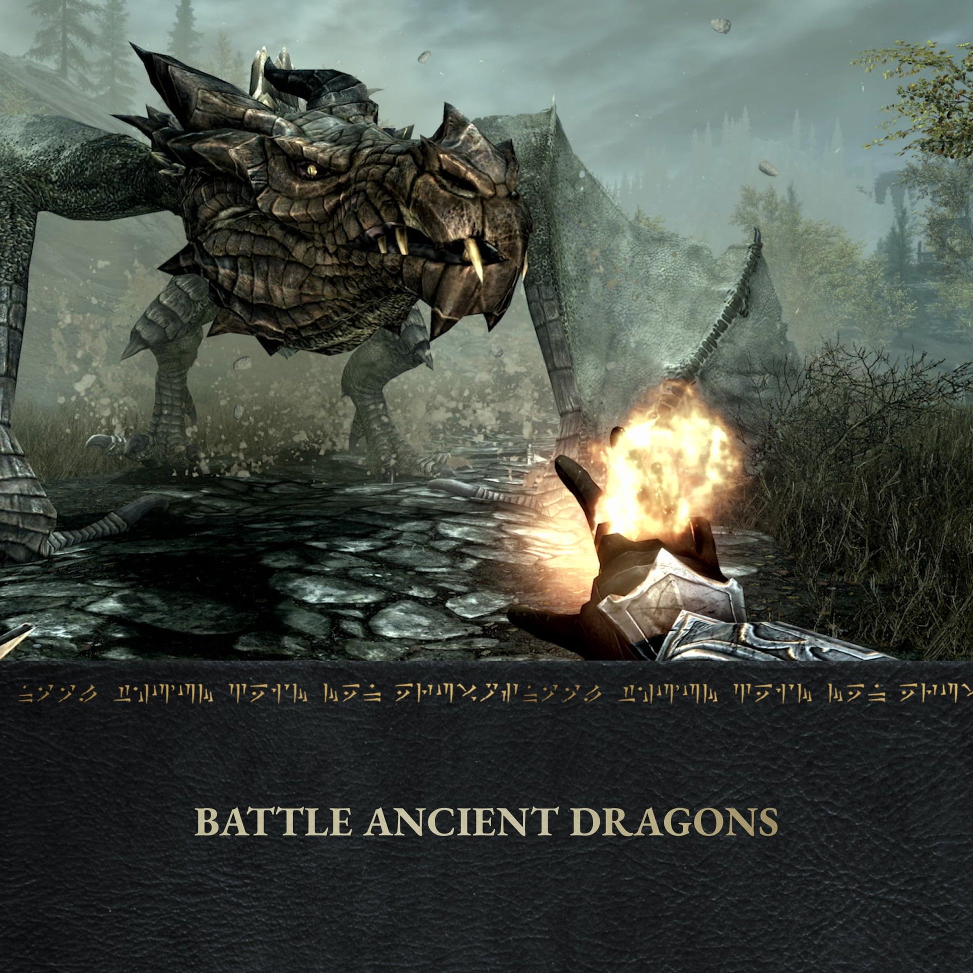 Nintendo Switch game card for The Elder Scrolls V: Skyrim Anniversary Edition by Xbox, featuring artwork of the game on the box.
