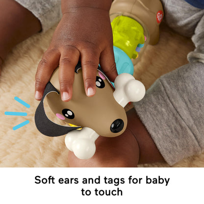 Fisher-Price Baby Sensory Toy FP Pets Click & Spin Activity Pup with colorful buttons and spinning parts for infants 6+ months.