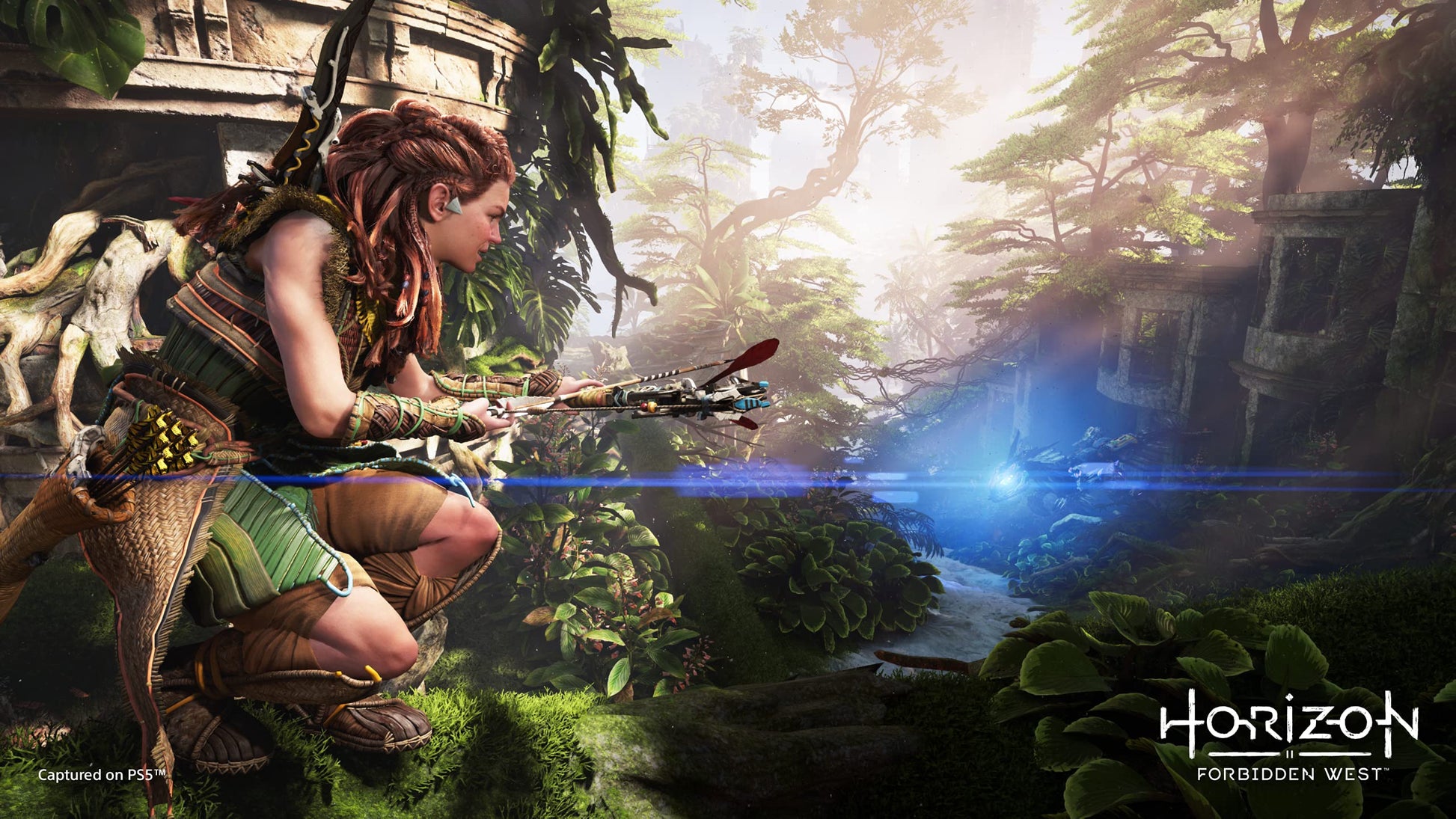 PlayStation Horizon Forbidden West for PS5 game case with cover art featuring protagonist Aloy and lush landscape background.