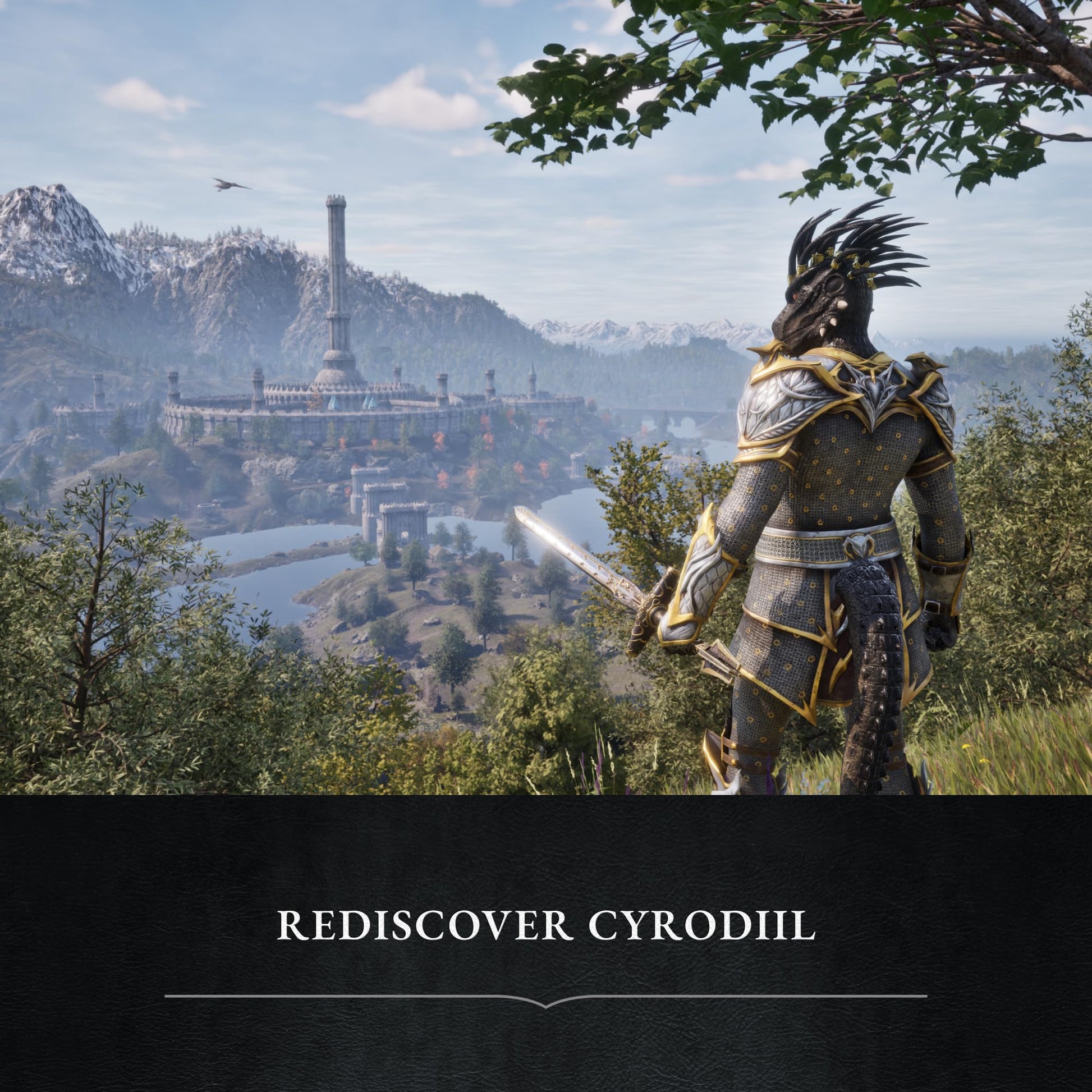 Physical Deluxe Edition of The Elder Scrolls IV: Oblivion Remastered for PlayStation 5 with game case and artwork.