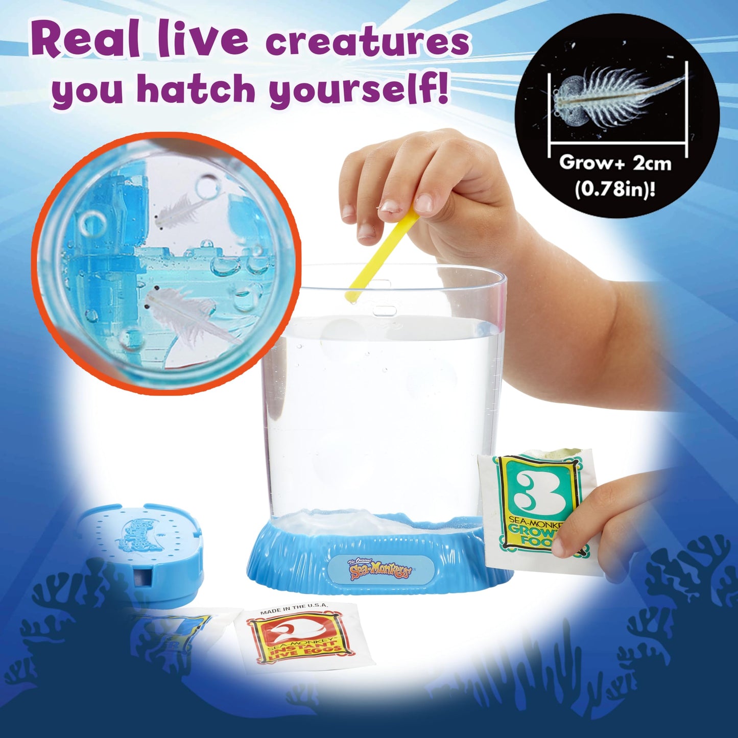 The Original Sea Monkeys - Ocean Zoo - Grow Your Own Pets Science Kit- Includes Eggs, Food, and Water Purifier, Color May Vary