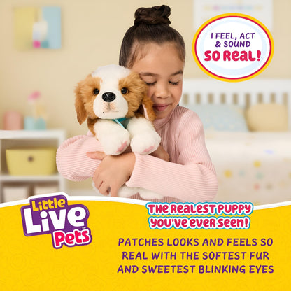 Little Live Pets My Really Real Puppy - Patches The Beagle Realistic Interactive Toy Puppy That Reacts To Your Touch. 60+ Sounds and Reactions. Soft Fur, Weighted Paws, Blinking Eyes