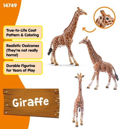 SCHLEICH Wild Life 14749 Male Giraffe Animal Figurine - Authentic Detailed Wild Male Giraffe Toy Education, Imagination, and Play - Highly Durable Animal Toys Gift for Boys, Girls, Kids Ages 3+