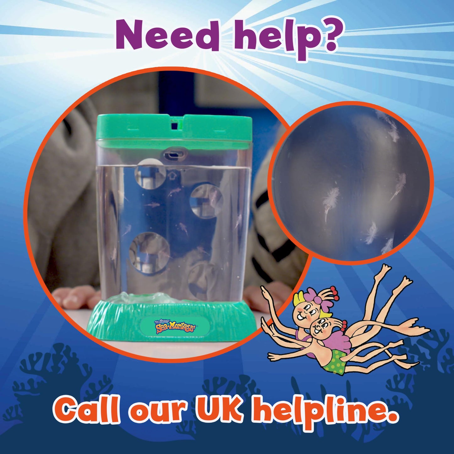 The Original Sea Monkeys - Ocean Zoo - Grow Your Own Pets Science Kit- Includes Eggs, Food, and Water Purifier, Color May Vary