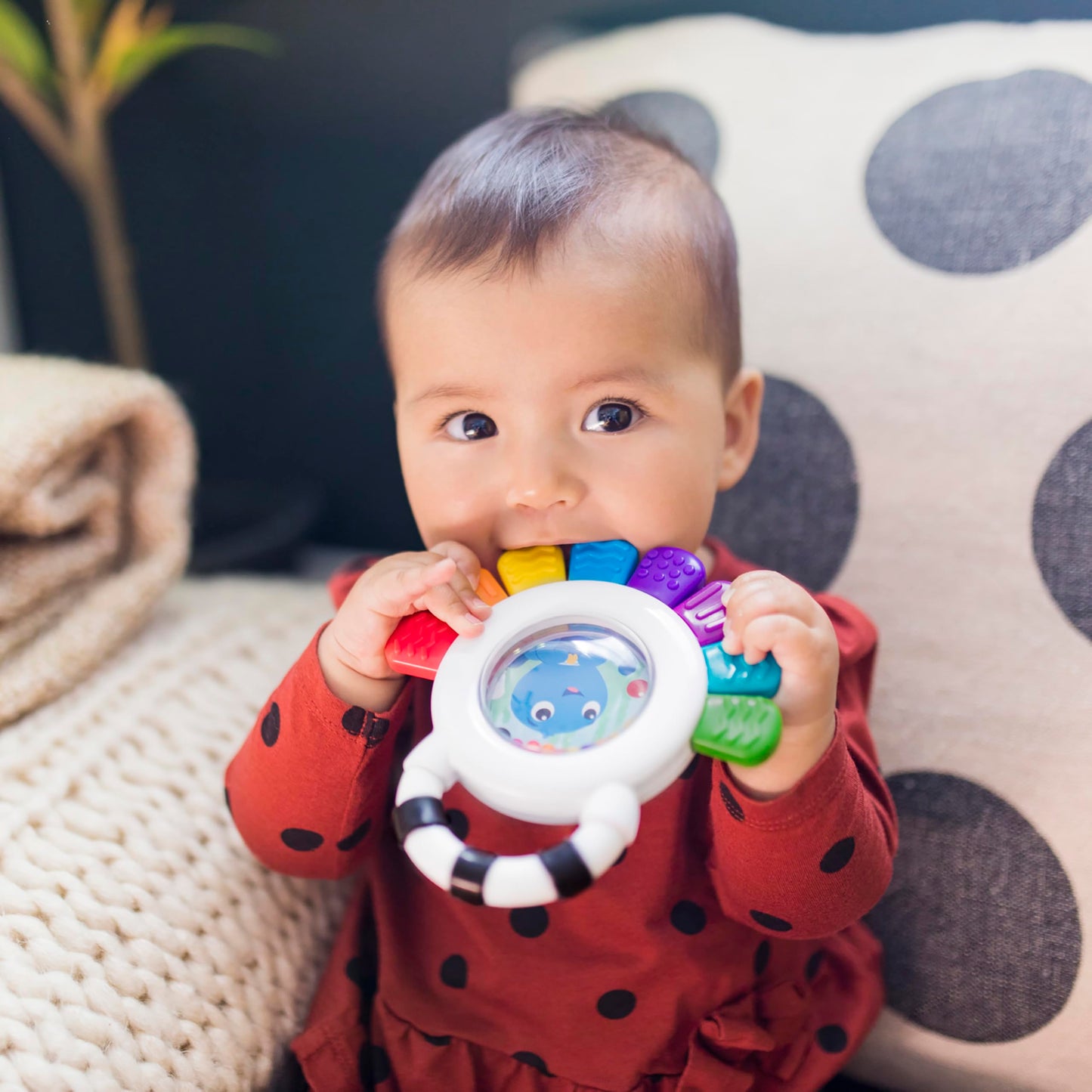 Baby Einstein Outstanding Opus The Octopus sensory rattle and teether, BPA-free, chillable toy for babies 3 months and up.