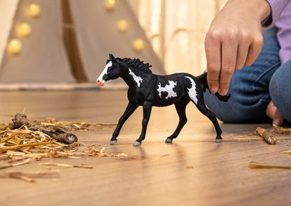 Schleich Horse Club - Paint Horse Gelding - 17cm Hand-Painted Collectable, Realistic Toy Horse Figurine for Girls and Boys. Durable Educational Figure for Fun Imaginative Play. Kids Toys Ages 5+ 14900