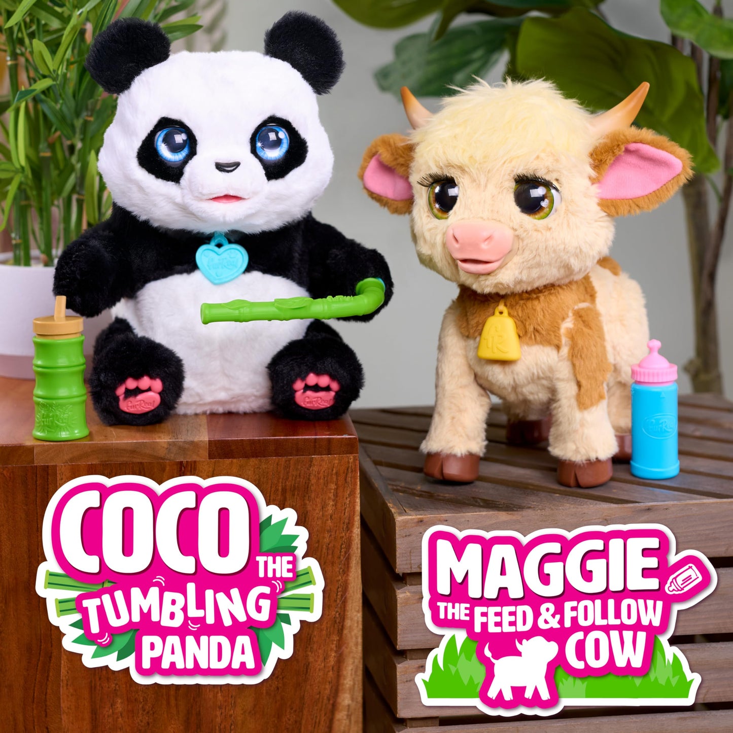 Just Play furReal Maggie the Feed & Follow Cow, 11 Inch Interactive Highland Mini Cow, for Boys and Girls, Ages 4 and Up