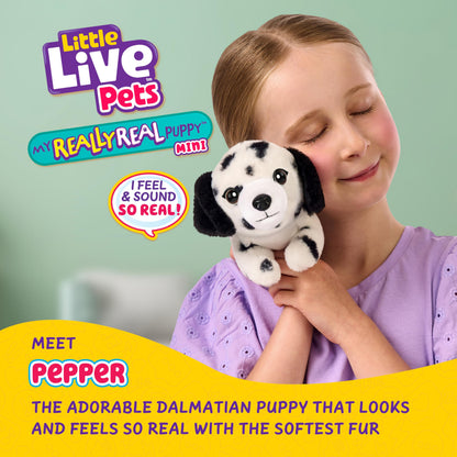 Little Live Pets My Really Real Puppy Minis- Pepper the Dalmatian| Interactive Puppy with 20+ Sounds & Reactions- Includes Basket for Display. Fun & Adorable Gift for Kids (11cm/4.3in tall)