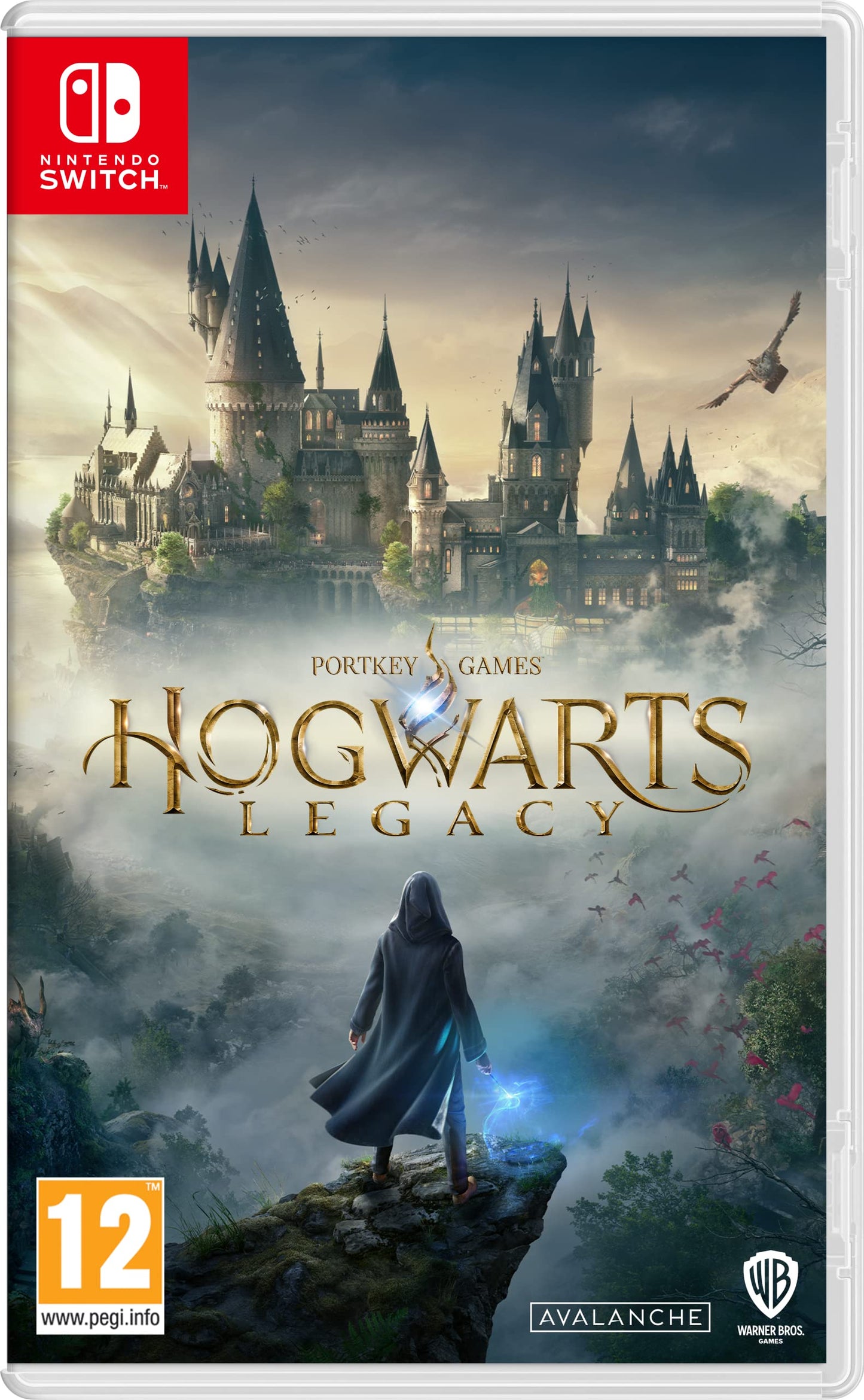 Hogwarts Legacy WB video game cover art featuring magical castle and characters in a fantasy wizarding world scene.
