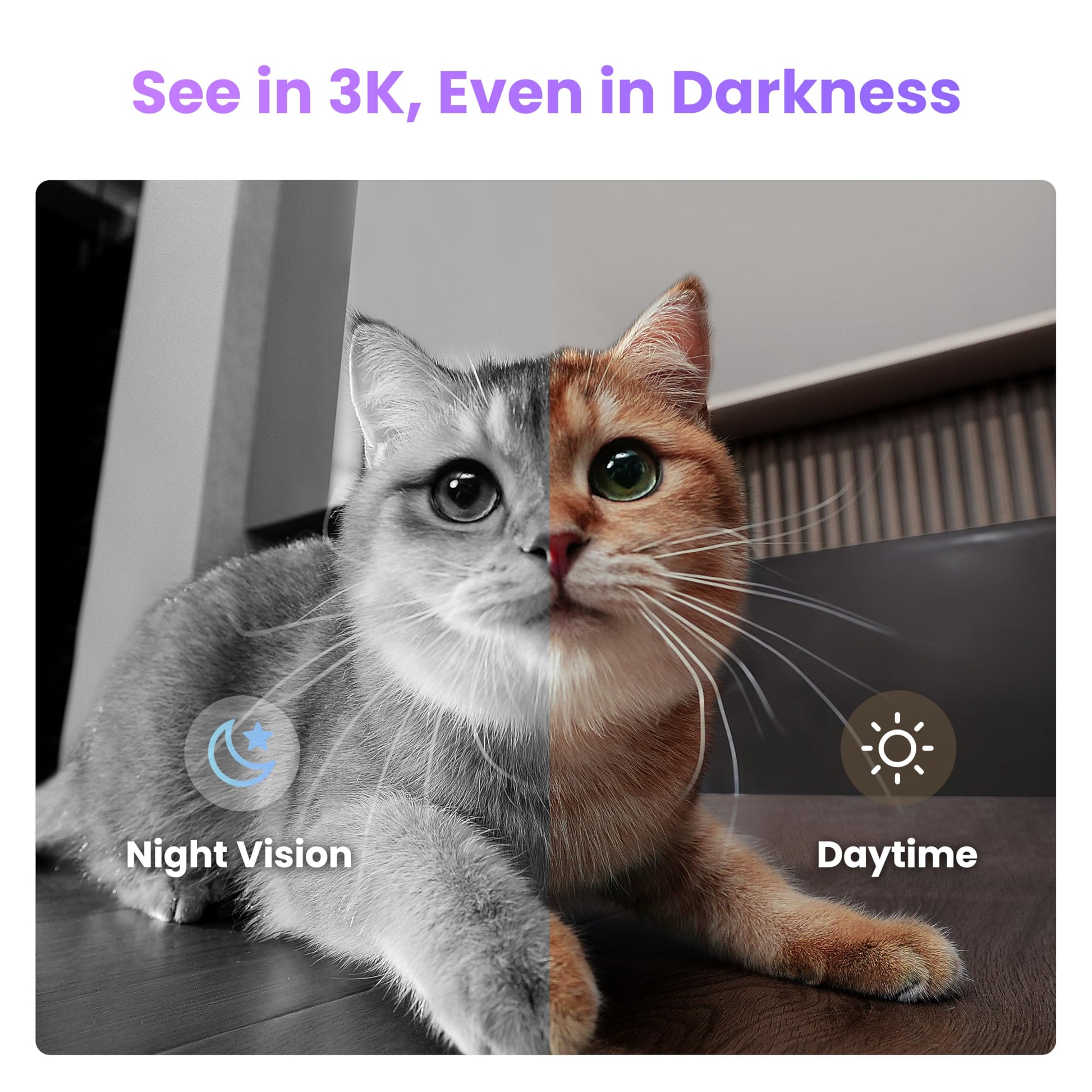 Enabot EBO Air 2 Plus family robot with 3K security camera, night vision, pet camera, AI face recognition, and two-way audio.