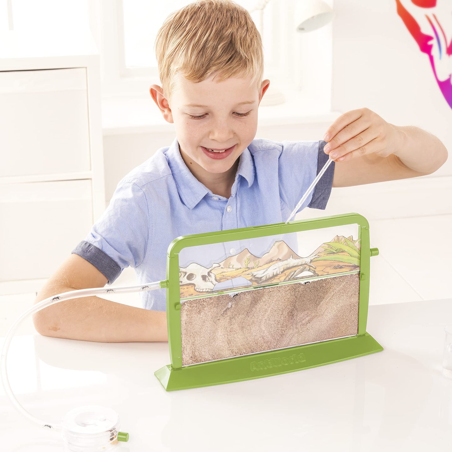 My Living World Ant World kit showing clear plastic habitat with ants, included equipment, and a 9-page bug guide for young entomology enthusiasts.