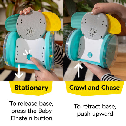 Baby Einstein Chase & Tap Earl crawling baby toy with mirror and music, designed for infants 6 months and up.
