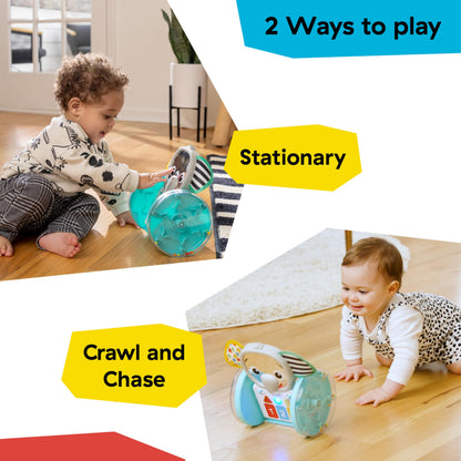 Baby Einstein Chase & Tap Earl crawling baby toy with mirror and music, designed for infants 6 months and up.