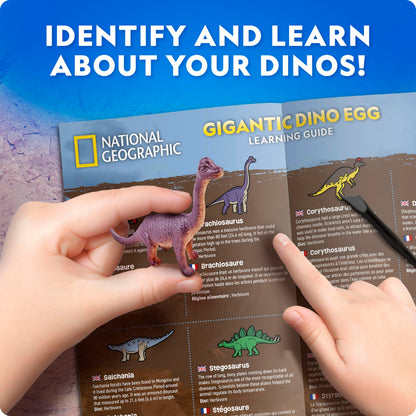 Blue Marble National Geographic Jumbo Dinosaur Egg Dig Kit with excavated T. Rex tooth and mini dinosaur figures in a large brick prehistoric egg