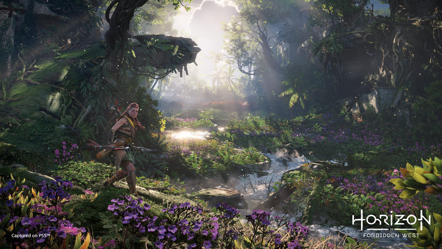 PlayStation Horizon Forbidden West PS5 game cover art featuring vibrant landscape and futuristic characters.