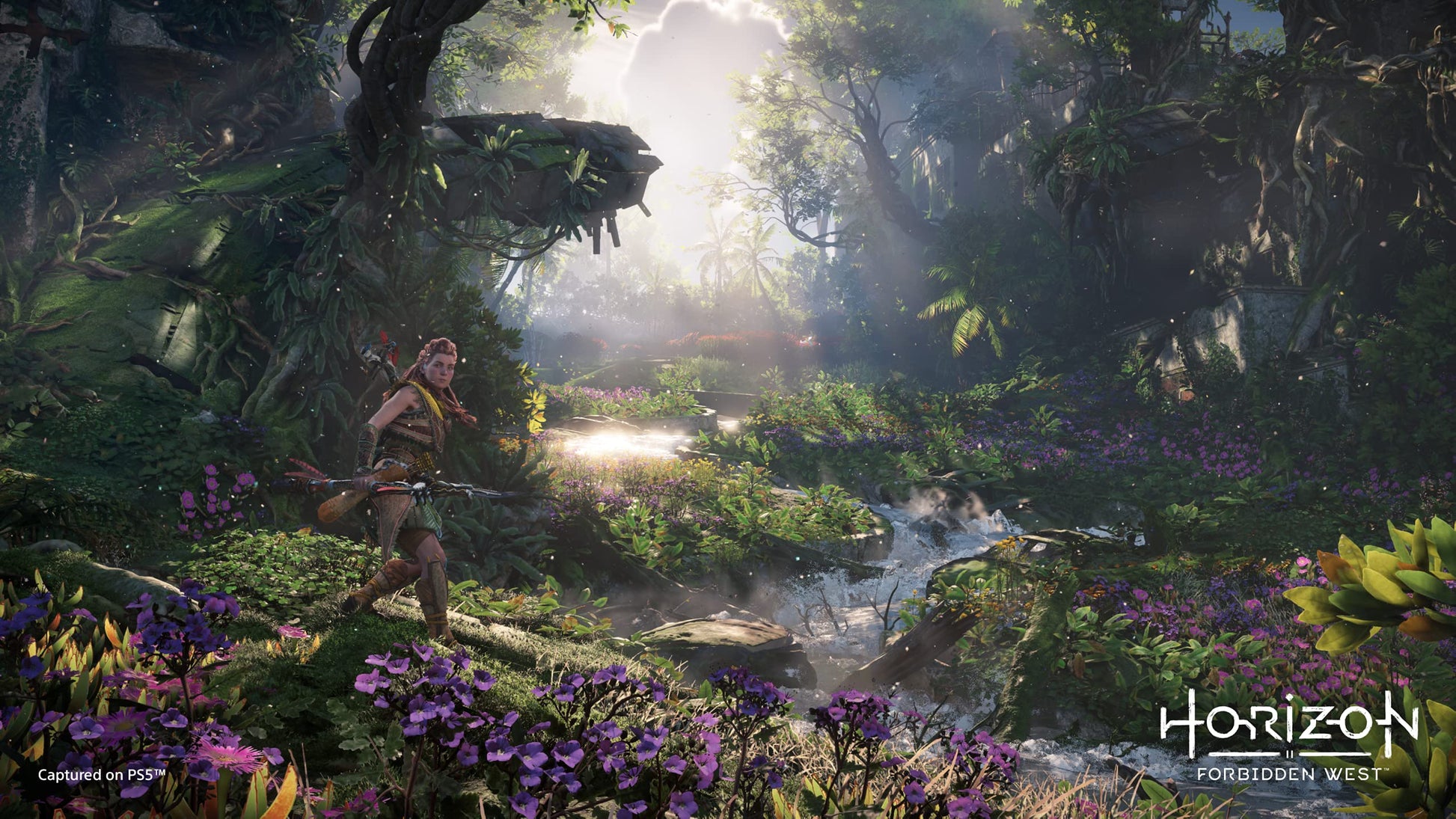 PlayStation Horizon Forbidden West PS5 game cover art featuring vibrant landscape and futuristic characters.